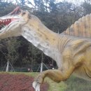 앞산공원 이미지