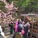 성북구치매안심센터 이미지