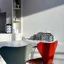 호피홀리데이 | 2025 샤넬 스노우볼, 아우스디오 호피 쇼퍼백, 캔버스 토트백, 스크런치 후기