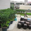 나가지농장 이미지