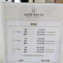 딩동댕댕 애견유치원 이미지