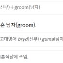 Groom Broom 이미지
