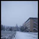 강릉영동대학 2 이미지