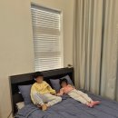 옆집강아지 | 강릉 강아지 동반 가능한 숙소 [로사풀빌라] 스파펜션