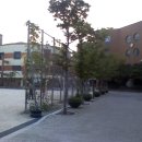 서울성수초등학교 이미지