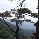 한국의 100대 명산을 찾아서 - 용화산 이미지