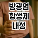 미루유치원 | 방광염 항생제 내성 생겨서 결국 포기했던 내가 6개월째 재발 없는 솔직 이유