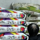 정부, 쌀 한가마니에 20만원 유지하도록 재배면적 감축… 직불금 5조 확대 이미지