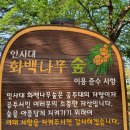 종합버스터미널~공주대학로 이미지