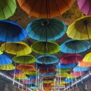 문경새재 생태미로공원 | [문경-가볼만한곳]문경새재도립공원, 봉명산출렁다리, 문경생태미로공원, 오미자테마터널, 에코월드 소개