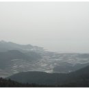 보성녹차리조트 이미지