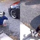 세차의이유 이미지