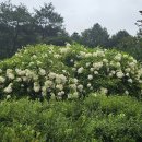 숲속의하루 이미지