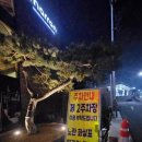 화성제일주유소 | 마롱 화성, 정남면 보통저수지 카페