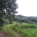 일영랜드 이미지