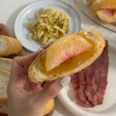 코뿔소농장 | 앨범에 음식 사진밖에 없는 빵순이의 일상🥐🥨🥖🤎