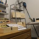 에픽 아이웨어 이미지