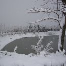 관광농원낚시터 이미지