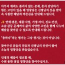 영창당 | 수원무당 점집 유명한 곳에서 이직고민 해결