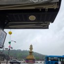 팜투분식