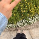 봄 가을 뮬 슬리퍼 1년 사용 후기 / 오즈웨어 보스턴 오지 소프트 풋베드 스웨이드 슬립온 착샷 / 퓰라...