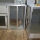 대동음향 이미지