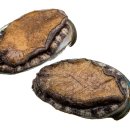 만복수산 이미지