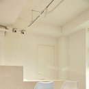 일생의 피티 이미지