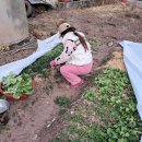 효자손마취통증의학과의원 이미지