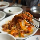 거창맛집 | 거창여행 중 찾은 대박 밥집 강뚝식당 제육볶음 점심 후기