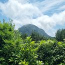 수현건축사사무소 이미지