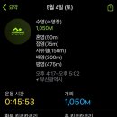 대영스포렉스 이미지