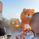 26230-66-01-014 | SPAO, ROEM, TWEE 5월 쇼핑리스트