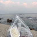 대게택시 협동조합 | 강릉 주문진 횟집 추천 찐수산대게횟집 본점 올해 첫 대방어 포장후기