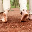 한강신도시호수공원 이미지