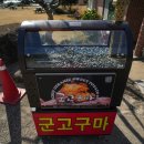 호산나주유소 이미지