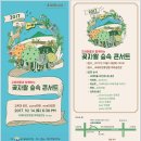 [무료공연] 2017 교래 곶자왈 숲속 콘서트 재개최 (김목경 밴드, 허란, 이영효) 이미지