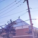 신반포로15길 18_ 이미지