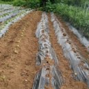 해뜬농장 이미지