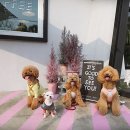 미르빈카페