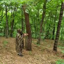 강화 교동도 토종 산새를 찍기 위해 위장복을 입고 기다리는 탐조객 이미지