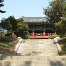 월송정月松亭 이미지