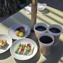 몸펴기 생활운동 이미지