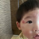 도병원약국 이미지