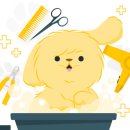 이리온 댕댕 이미지