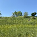 팔달 빗물펌프장 이미지