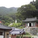 보광사 Daum카페