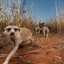 gc-camera-037 이미지