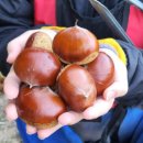 충주농장 이미지