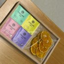 서광이지 이미지